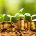 Tanzania’s $5.3 Million Green Investment Initiative Opens New Opportunities