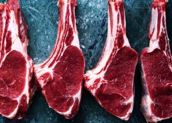 How Tanzania Is Positioning Itself as East Africa’s Leading Meat Export Hub