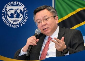Tanzania Secures $443.8 Million IMF Funding Amid Strong 5.9% Economic Growth