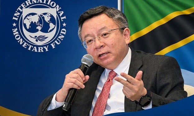 Tanzania Secures $443.8 Million IMF Funding Amid Strong 5.9% Economic Growth