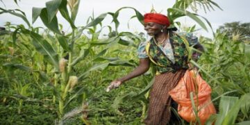 Tanzania’s Agricutural Sector Turns a Policy CornerThis July