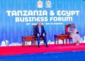 Tanzania and Egypt Identify Priority Sectors for Investment and Business Cooperation