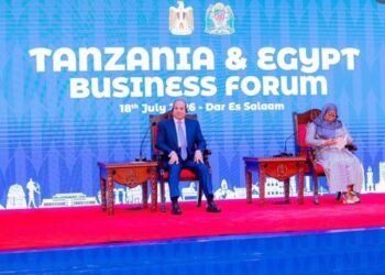 Tanzania and Egypt Identify Priority Sectors for Investment and Business Cooperation