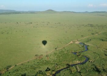 US$575 Million Tourism Pipeline Opens New Safari Investment Frontiers
