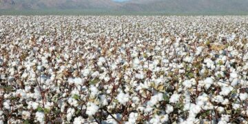 Textile Value Addition in Focus as Chinese Investors Eye Tanzania