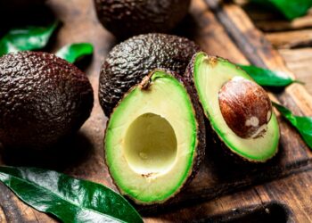 Tanzania’s “Green Gold”: How Avocado Farming Is Creating Jobs and Driving Agribusiness Growth