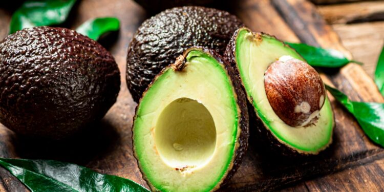 Tanzania’s “Green Gold”: How Avocado Farming Is Creating Jobs and Driving Agribusiness Growth