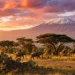 Tourism Sector– Tanzania (June 2026 ) Strong Start to the High Season Boosts Confidence in Tanzania’s Tourism Industry