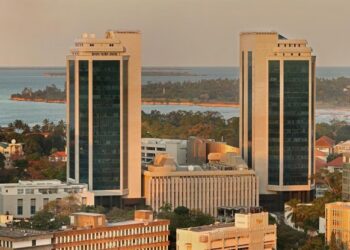Tanzania Opens Government Securities Market to Global Investors