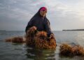 Tanzania Wants You to Stop Thinking of the Ocean as Just Fish