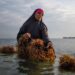 Tanzania Wants You to Stop Thinking of the Ocean as Just Fish