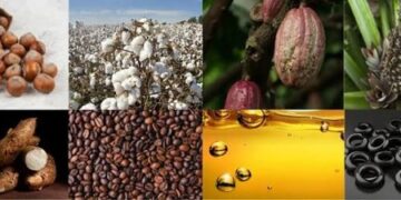 Agro-Processing Gap Opens New Investment Opportunities