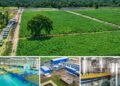 Mkulazi Agricultural City: Tanzania Opens New Opportunities in Agriculture, Agro-Processing and Industry