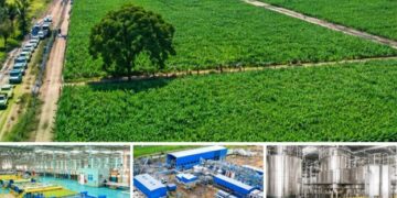 Mkulazi Agricultural City: Tanzania Opens New Opportunities in Agriculture, Agro-Processing and Industry