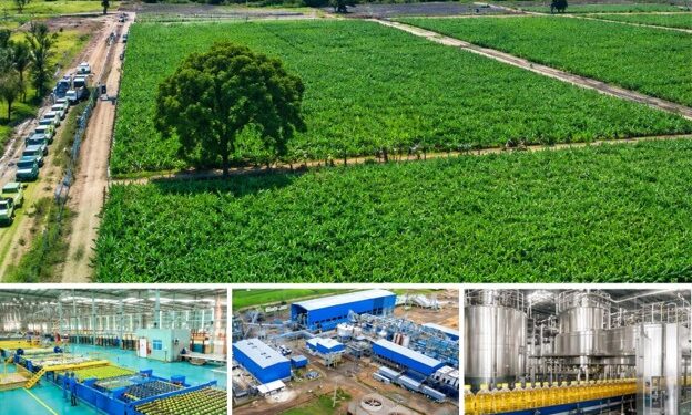 Mkulazi Agricultural City: Tanzania Opens New Opportunities in Agriculture, Agro-Processing and Industry