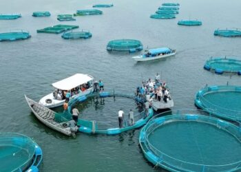Fish Deficit Creates New Opportunities for Aquaculture Investors