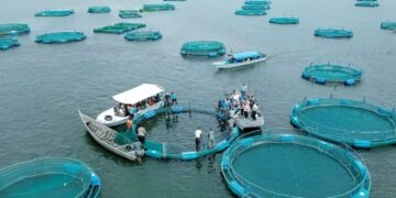 Fish Deficit Creates New Opportunities for Aquaculture Investors