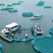 Fish Deficit Creates New Opportunities for Aquaculture Investors
